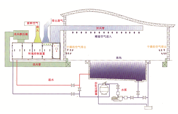 瀚宇水處理：如果做好這些，奧運(yùn)泳池怎么會(huì)“綠”?